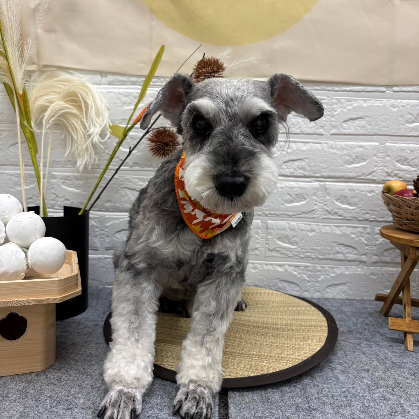 ๐๐๐๐๐๐๐๐