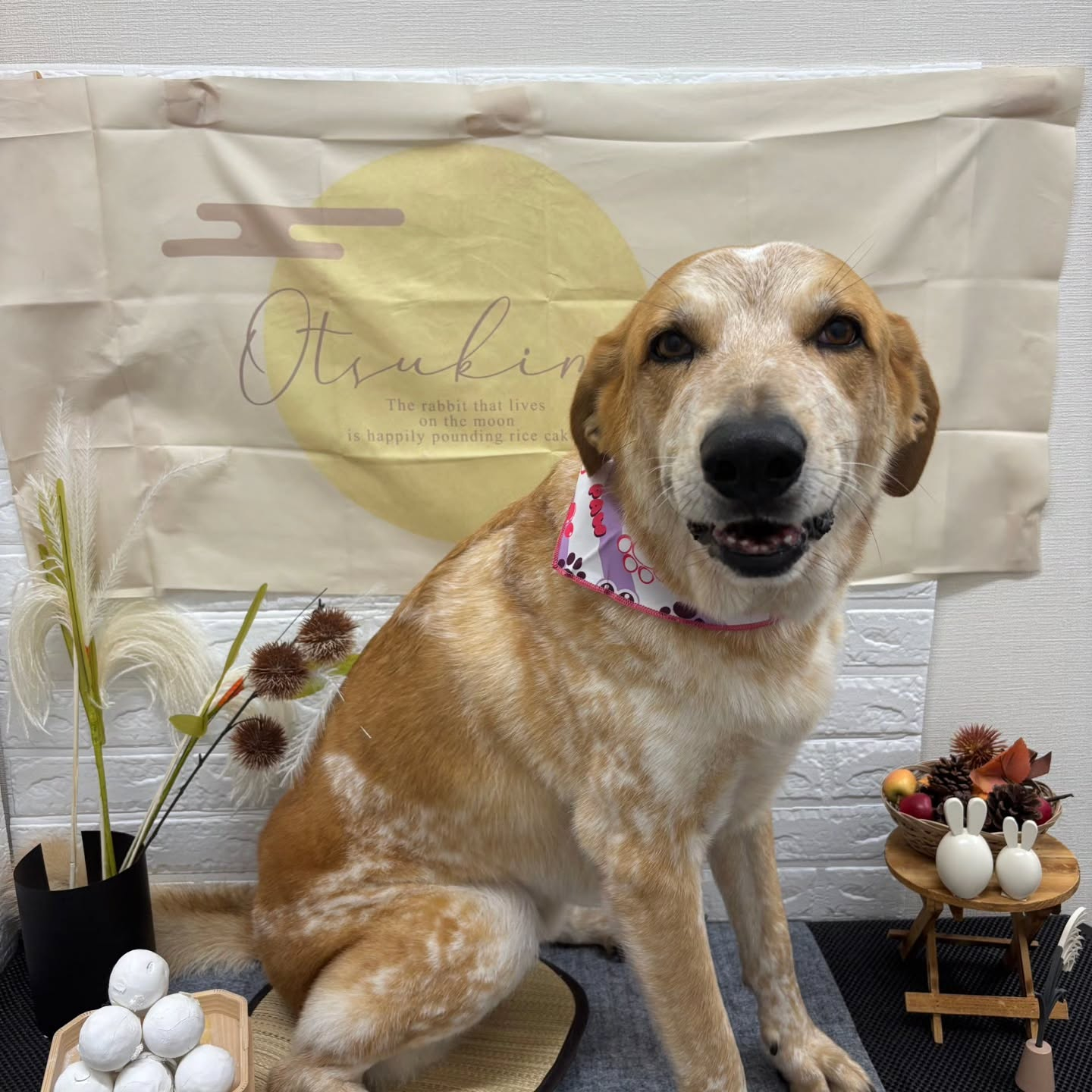 ๐๐๐๐๐๐๐๐