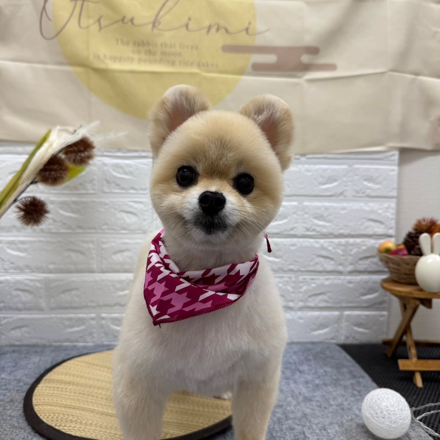 ๐๐๐๐๐๐๐๐