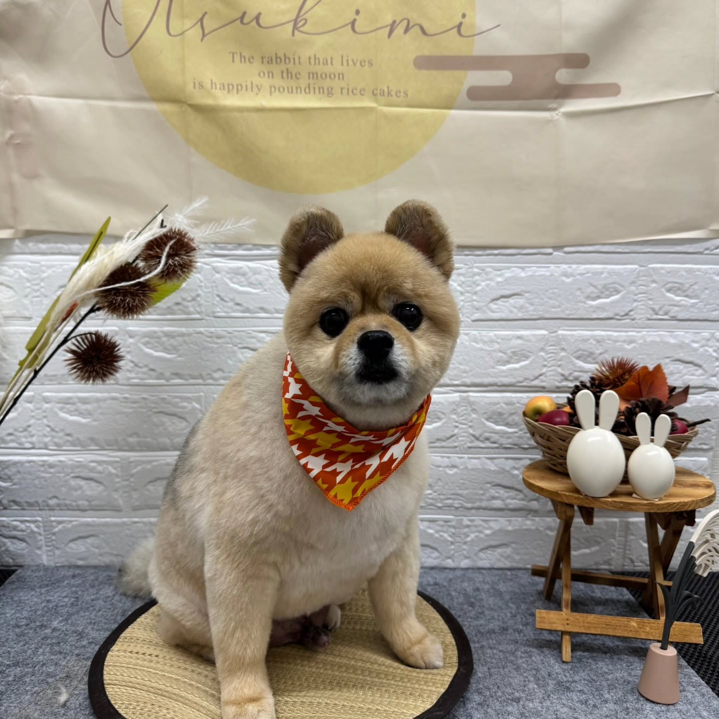 ๐๐๐๐๐๐๐๐