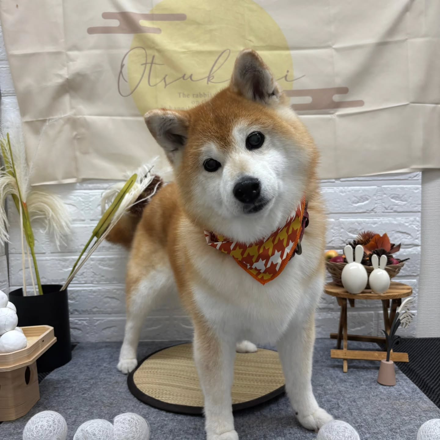 ๐๐๐๐๐๐๐๐