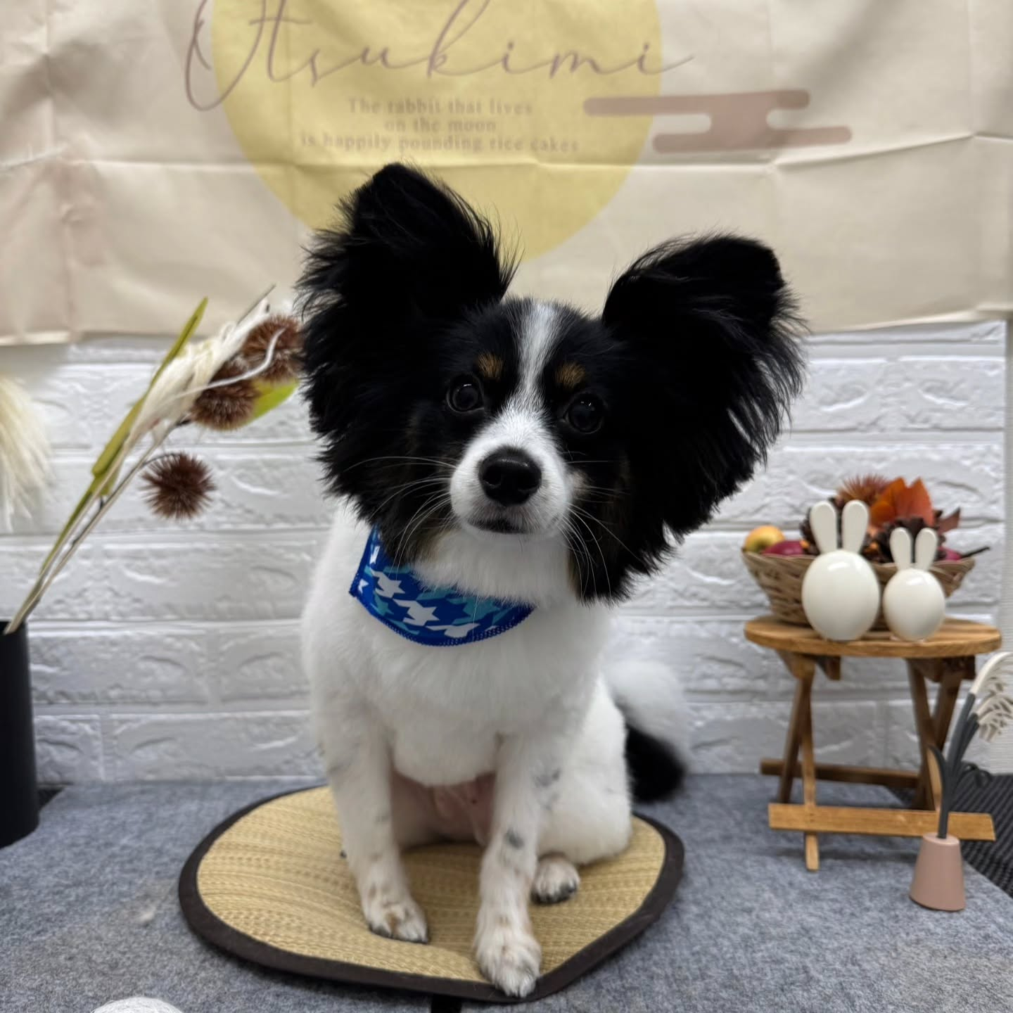 ๐๐๐๐๐๐๐๐