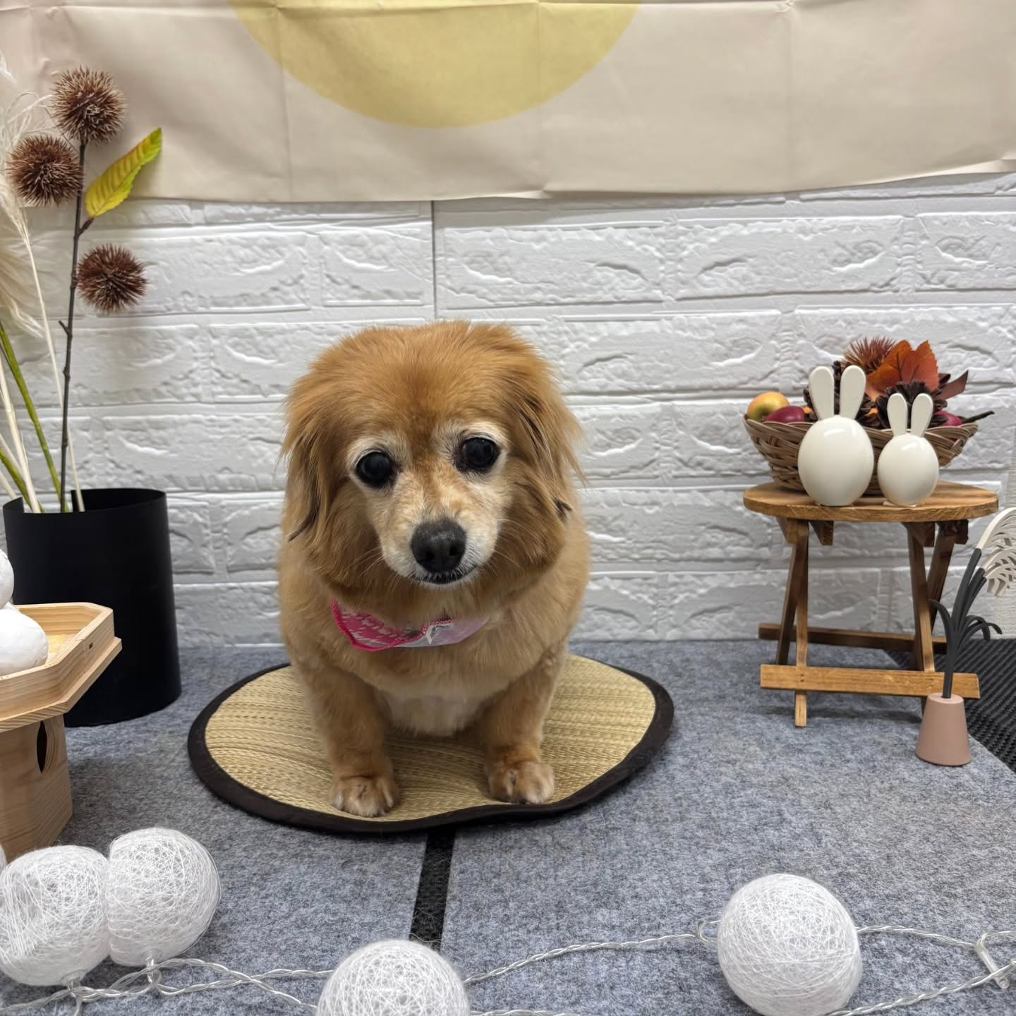 ๐๐๐๐๐๐๐๐