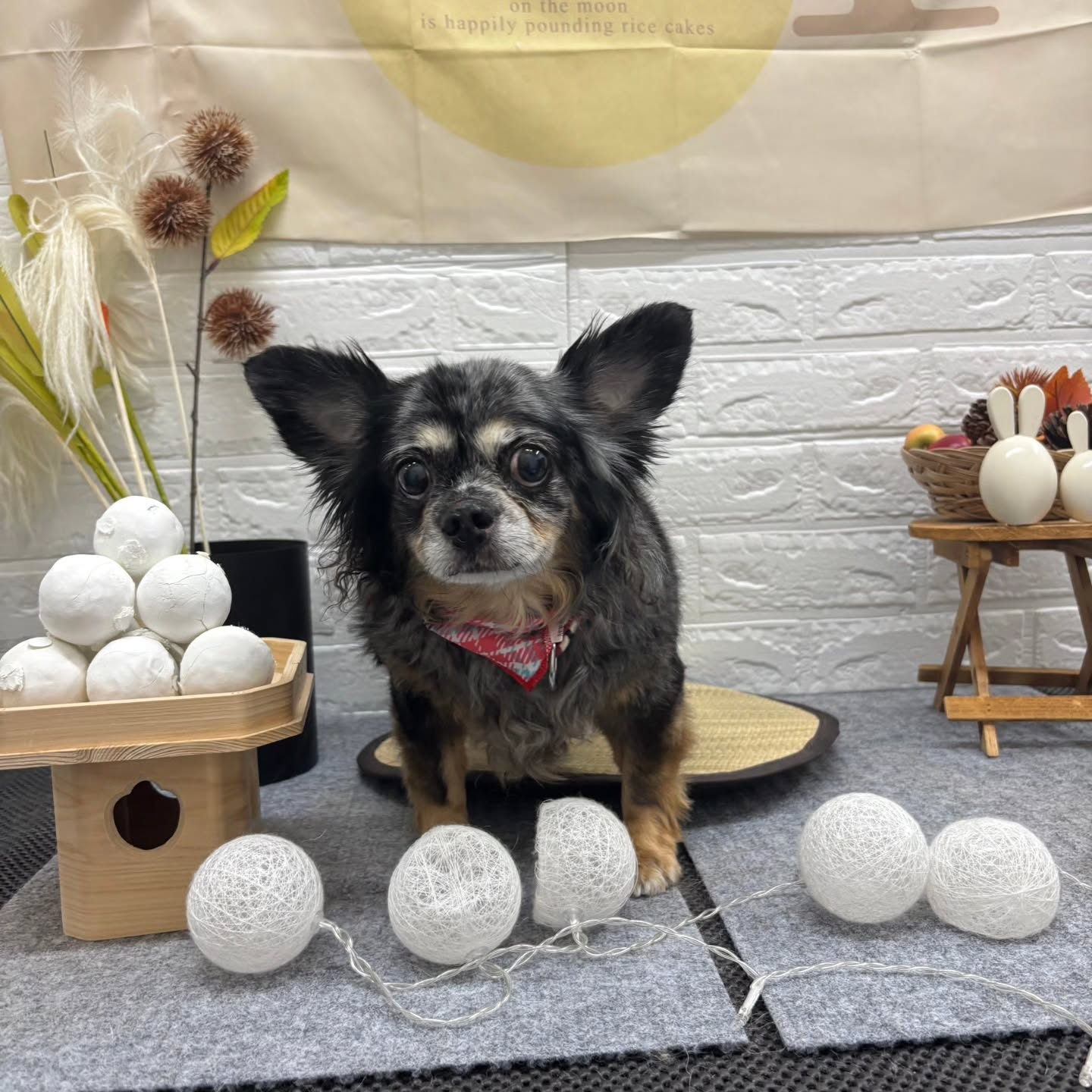 ๐๐๐๐๐๐๐๐