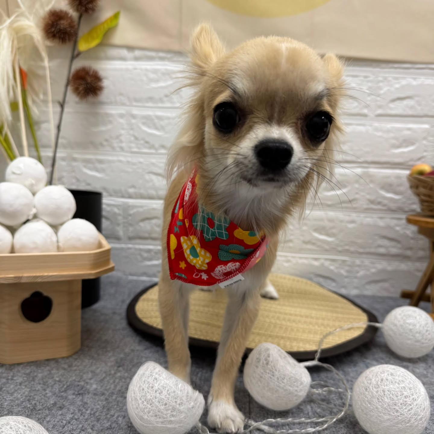 ๐๐๐๐๐๐๐๐