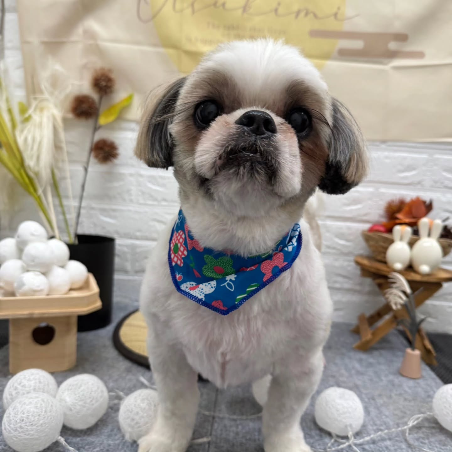 ๐๐๐๐๐๐๐๐