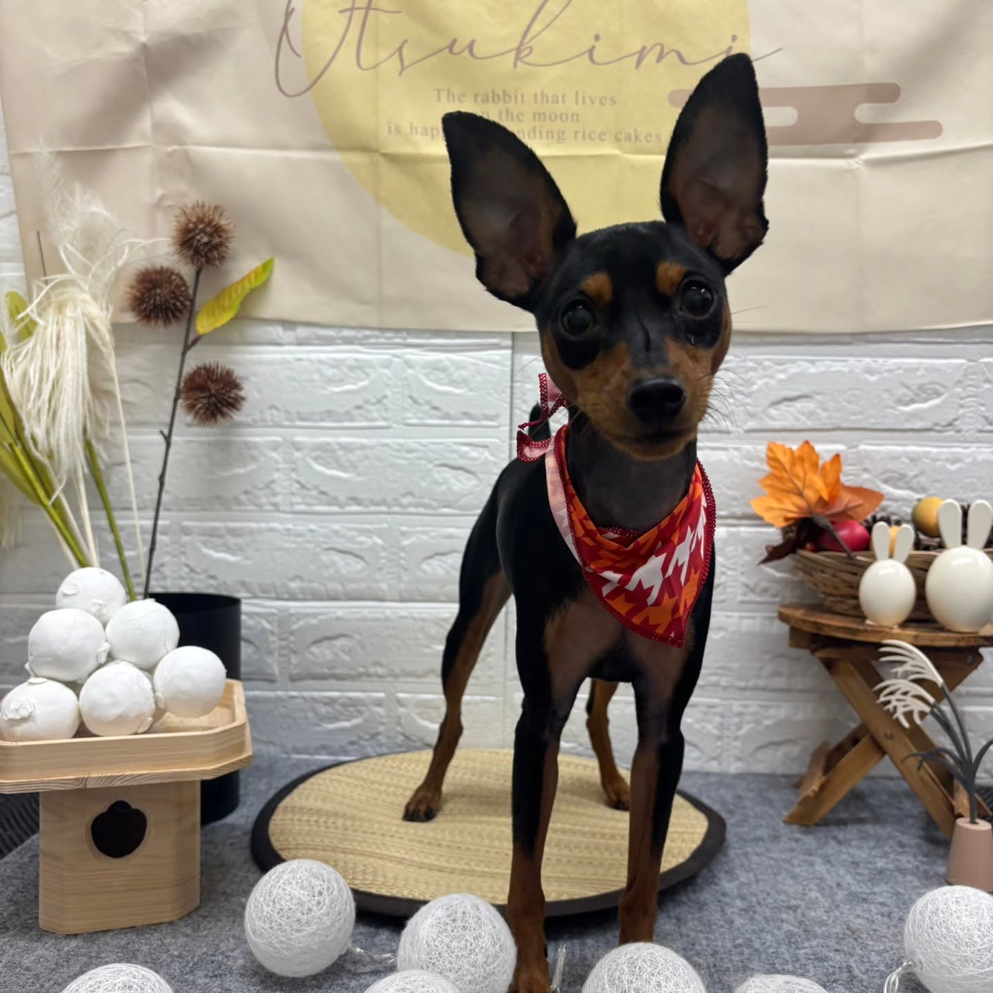 ๐๐๐๐๐๐๐๐