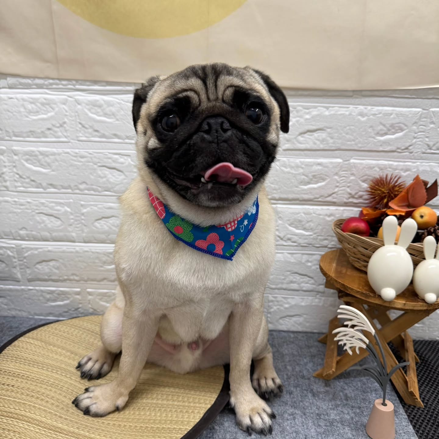 ๐๐๐๐๐๐๐๐