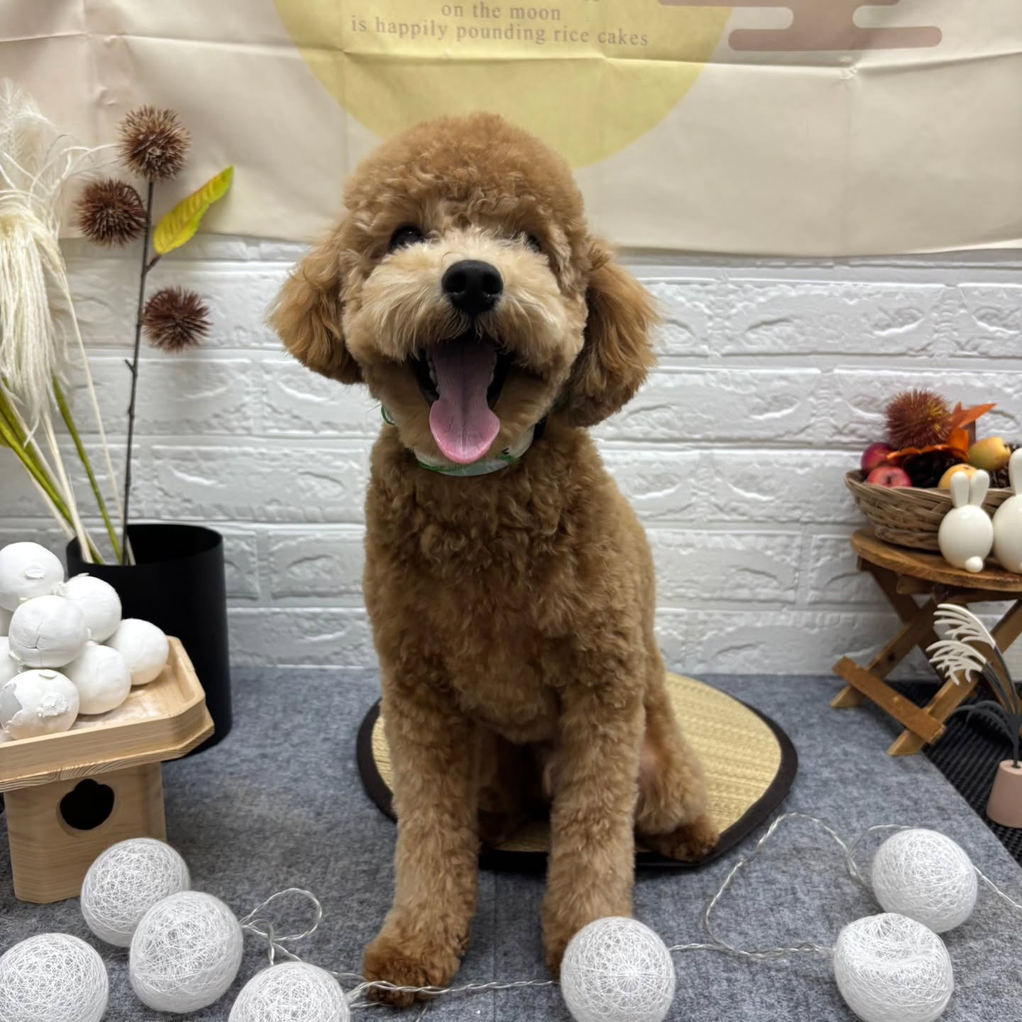 ๐๐๐๐๐๐๐๐