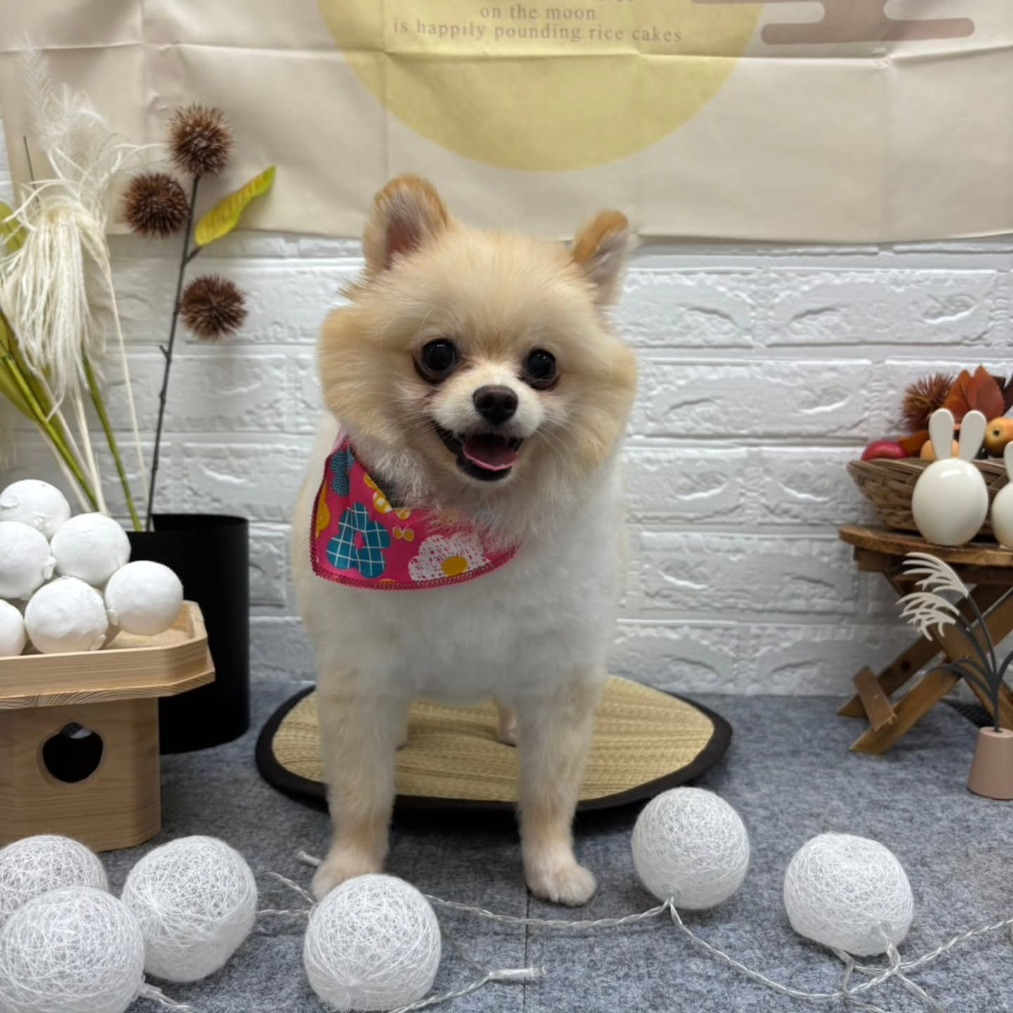 ๐๐๐๐๐๐๐๐