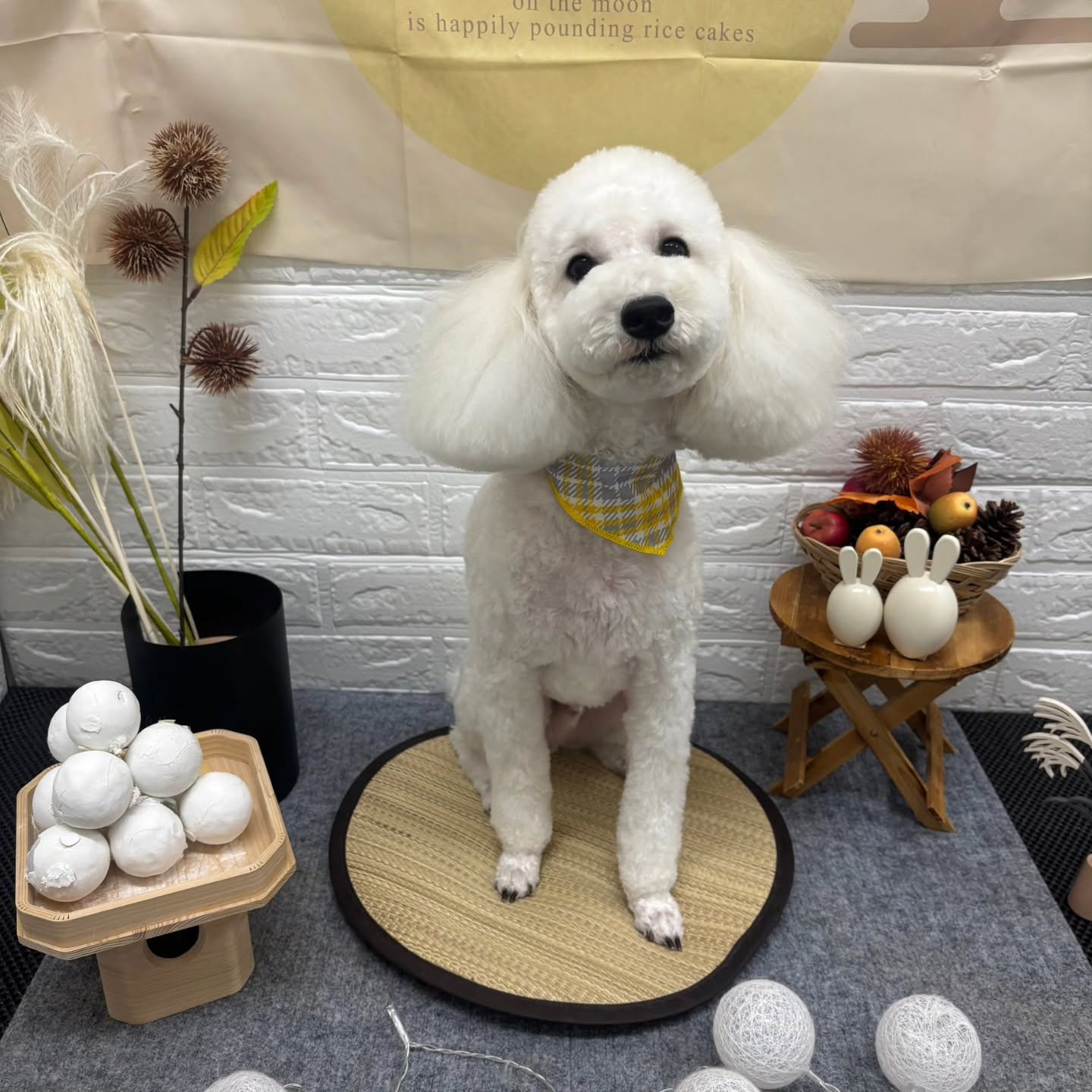 ๐๐๐๐๐๐๐๐