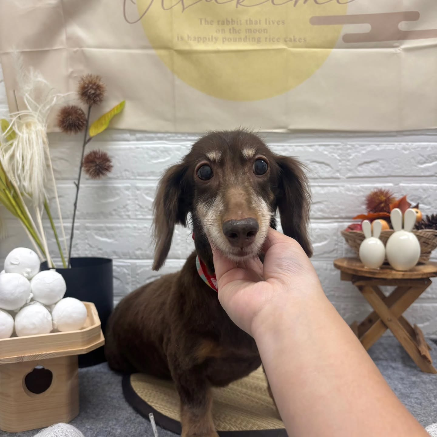 ๐๐๐๐๐๐๐๐