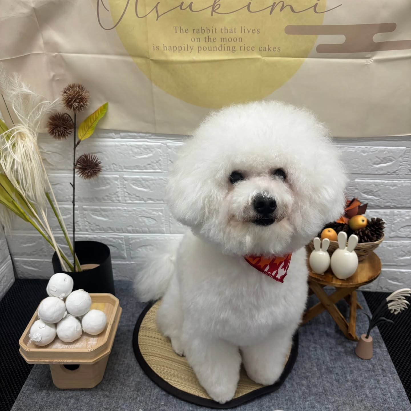 🌝🌝🌝🌝🌝🌝🌝🌝