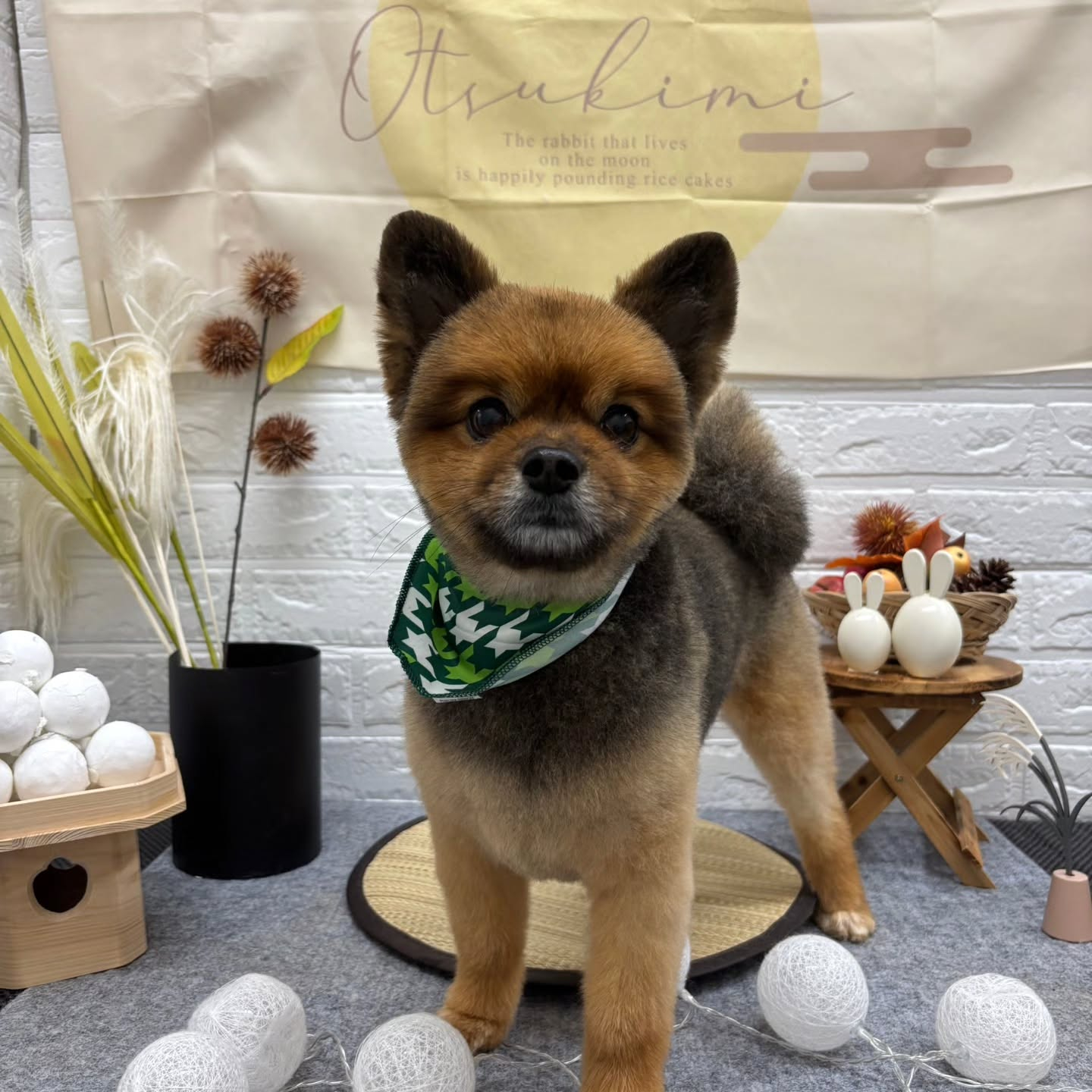 🌝🌝🌝🌝🌝🌝🌝🌝