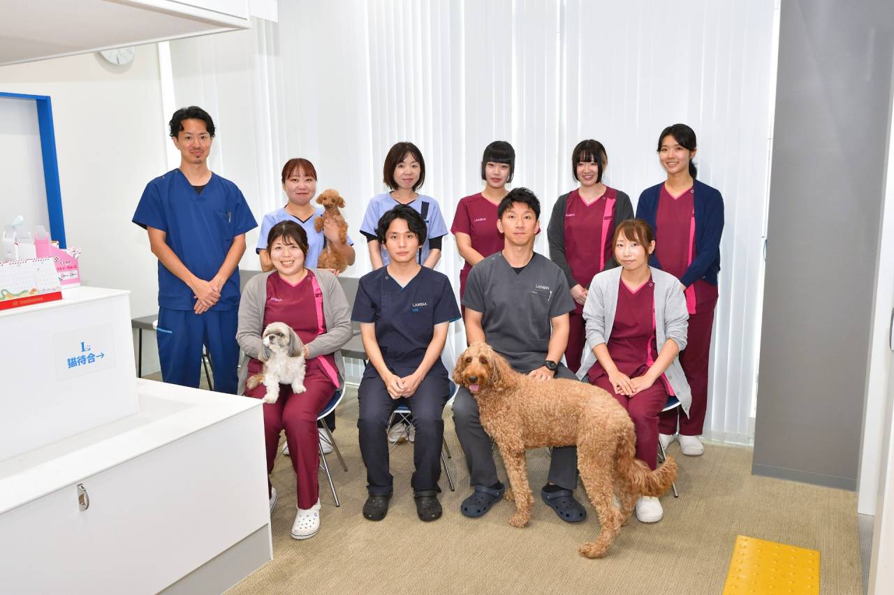 ラミナ動物病院