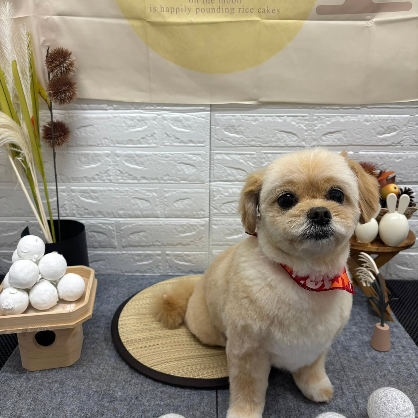 🌝🌝🌝🌝🌝🌝🌝🌝