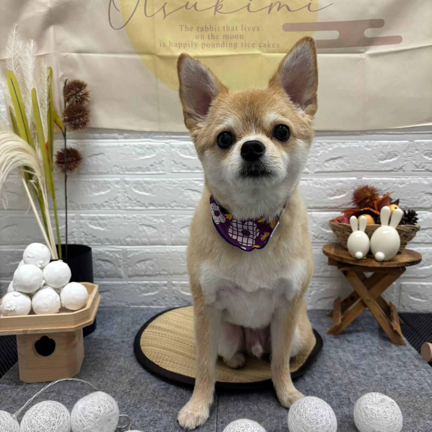 🌝🌝🌝🌝🌝🌝🌝🌝