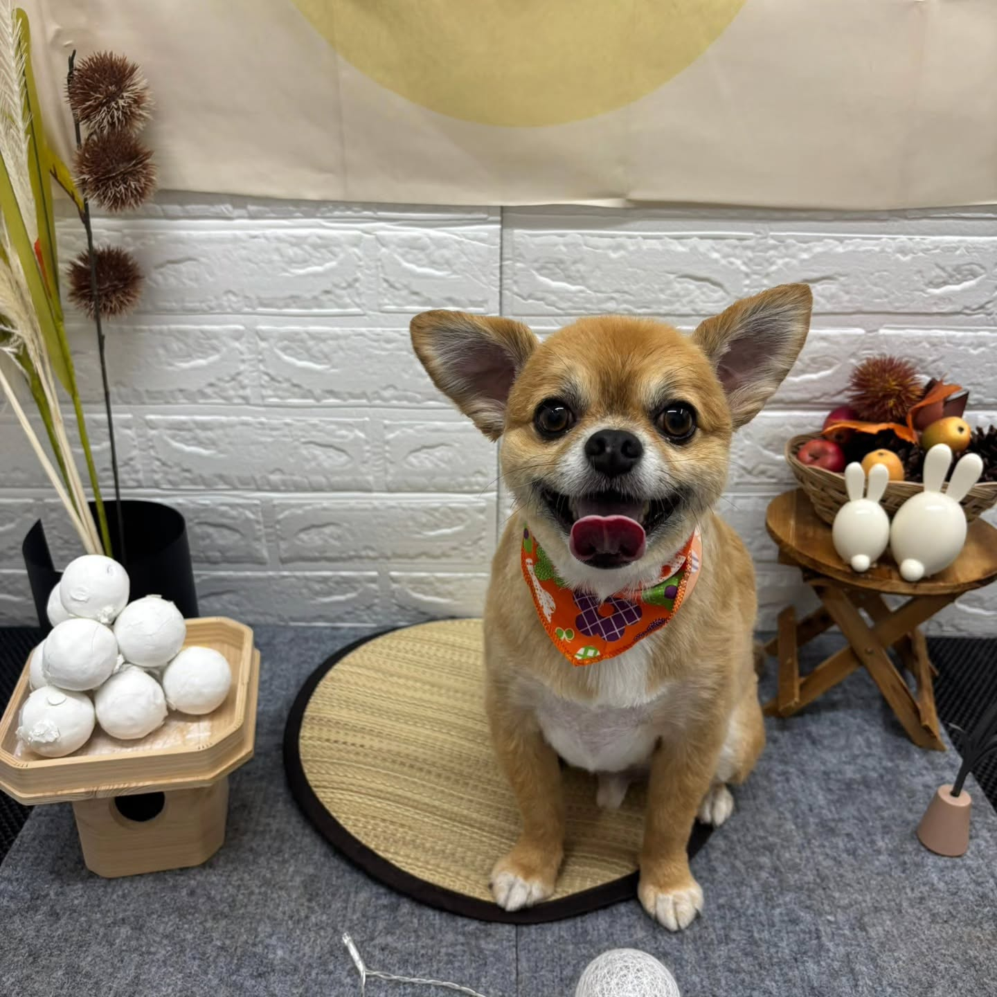 🌝🌝🌝🌝🌝🌝🌝🌝