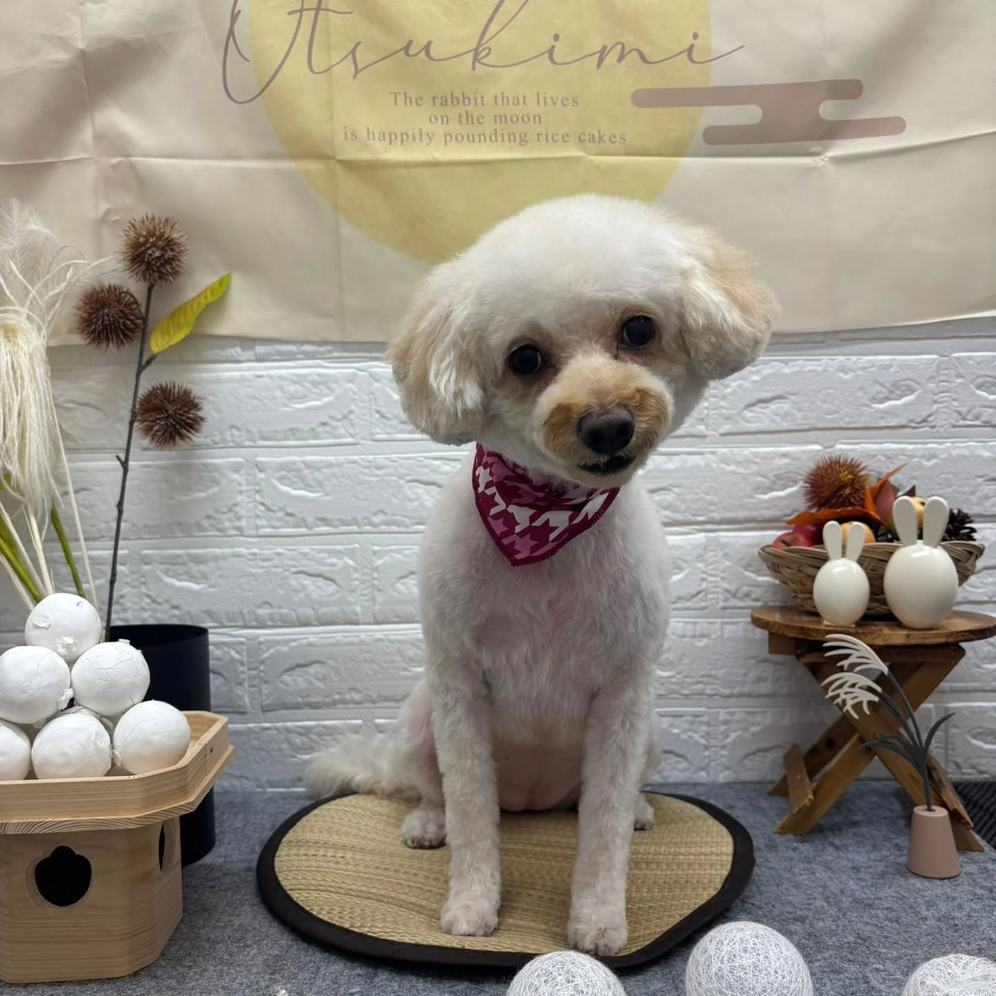 🌝🌝🌝🌝🌝🌝🌝🌝