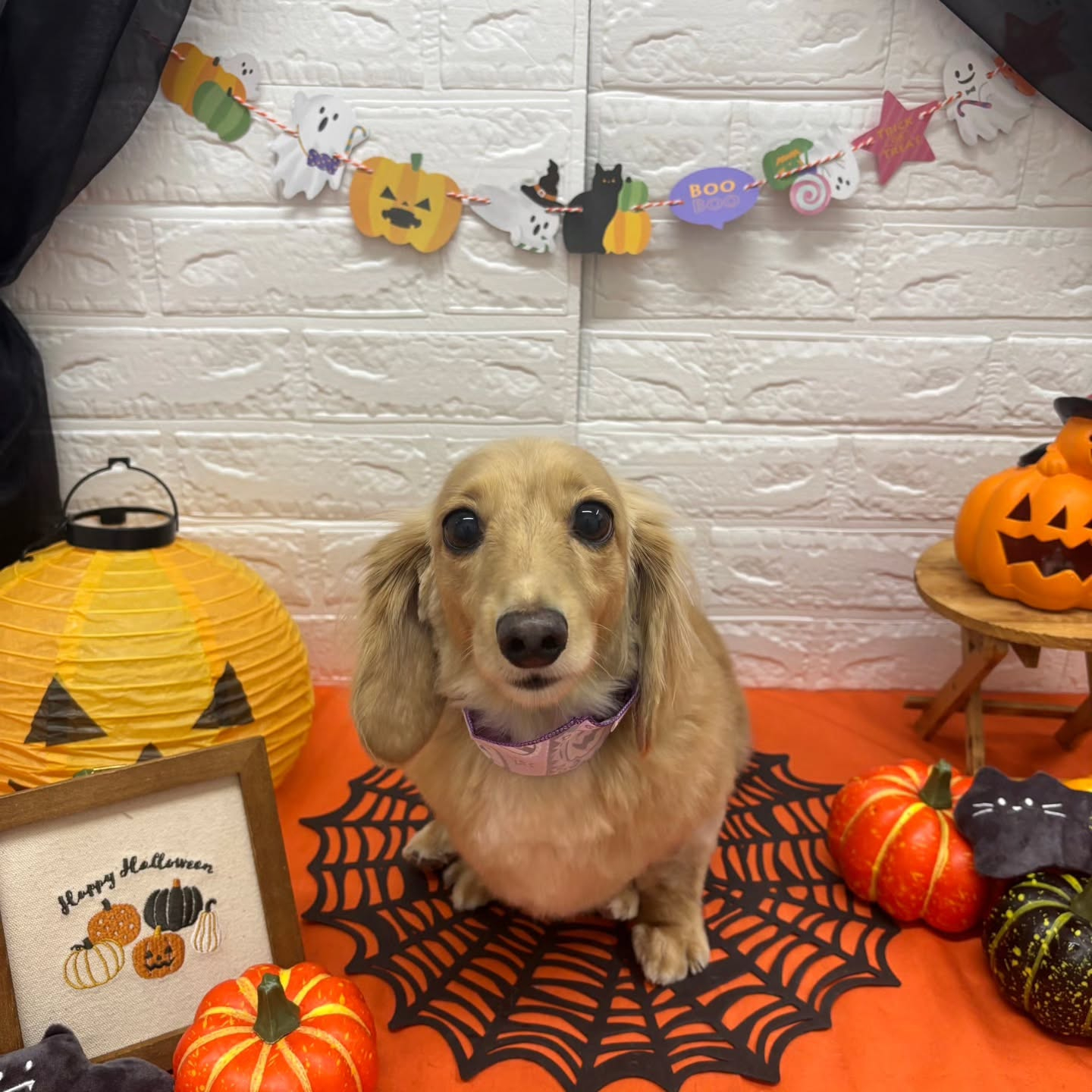 ๐๐ฆ๐ธ๐๐ฆ๐ธ๐๐ฆ๐ธ