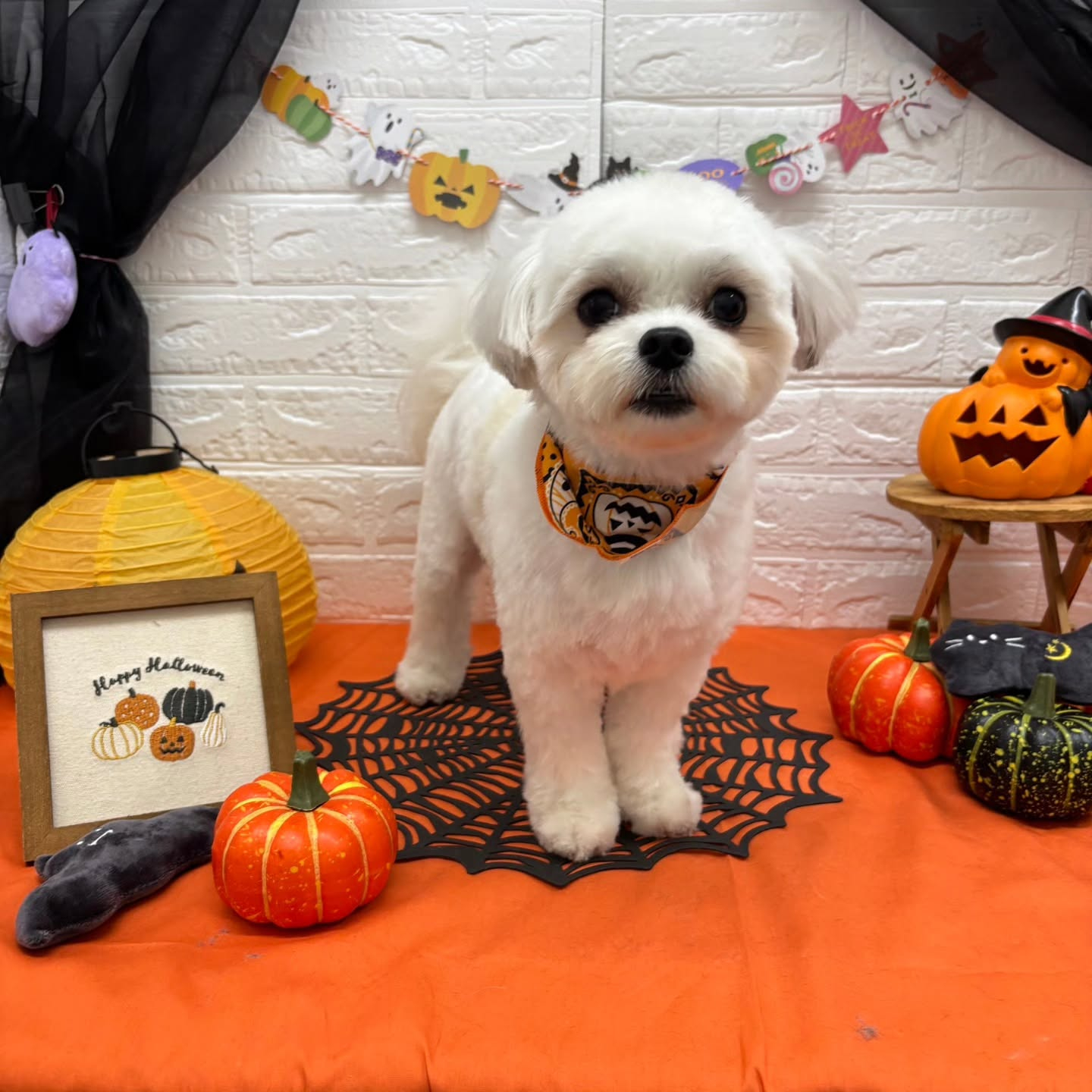 ๐๐ฆ๐ธ๐๐ฆ๐ธ๐๐ฆ๐ธ