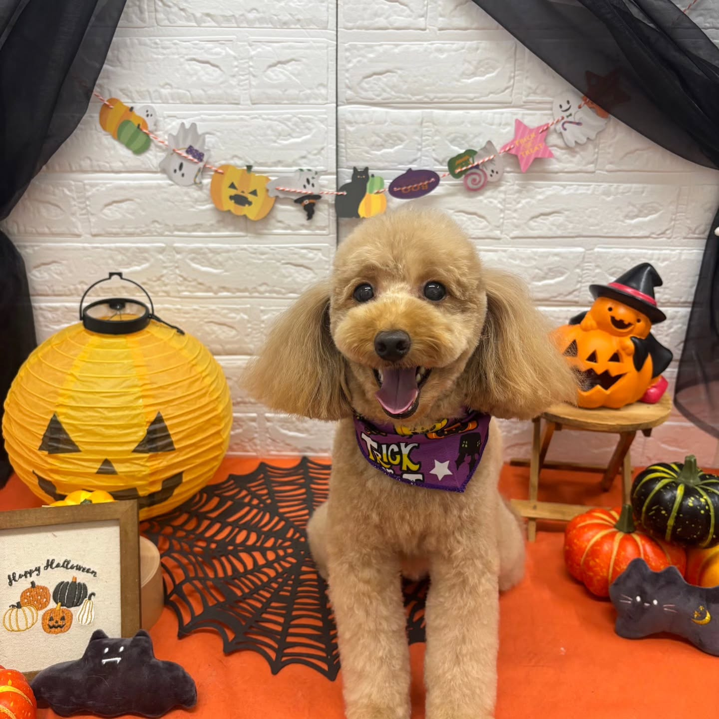 ๐๐ฆ๐ธ๐๐ฆ๐ธ๐๐ฆ๐ธ