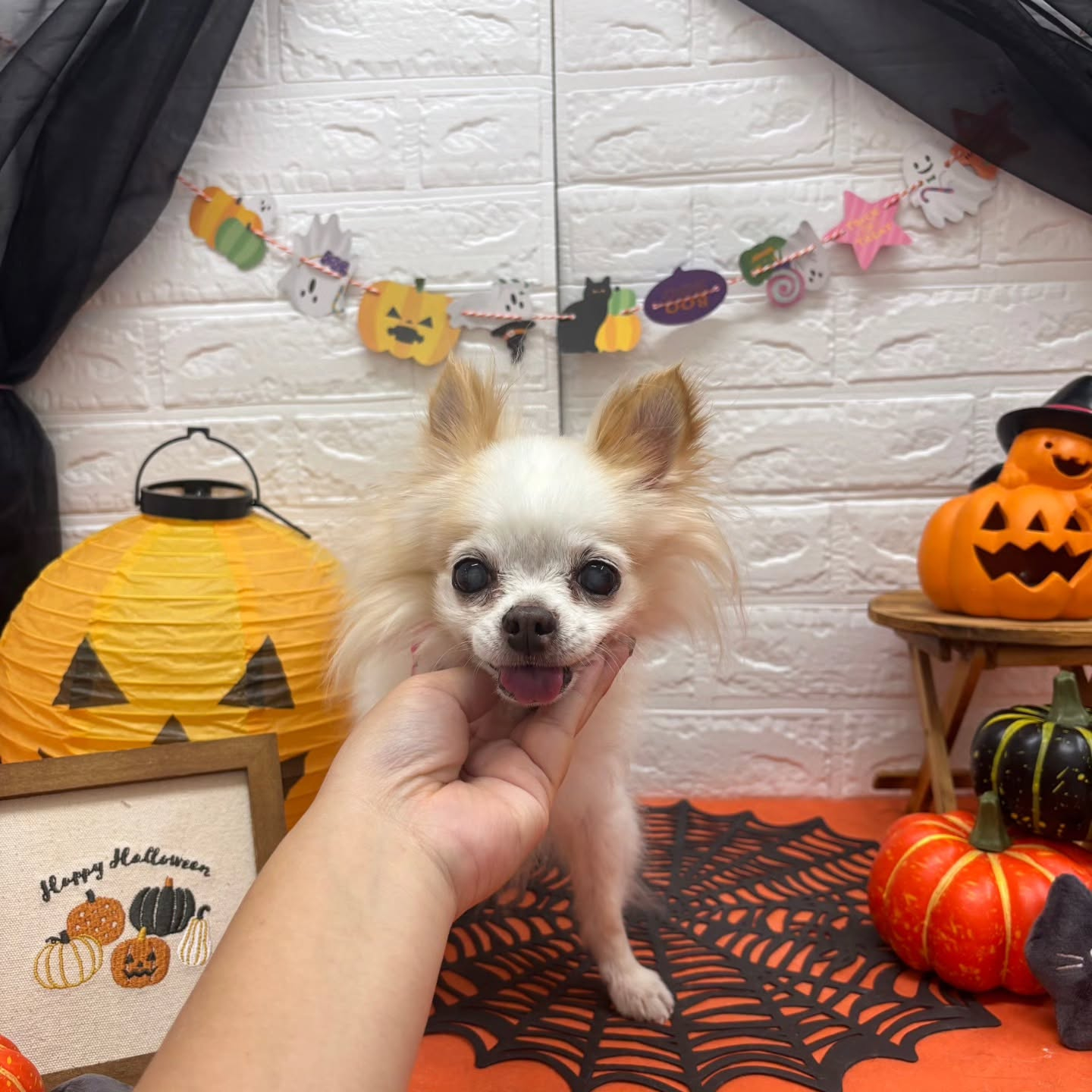 ๐๐ฆ๐ธ๐๐ฆ๐ธ๐๐ฆ๐ธ