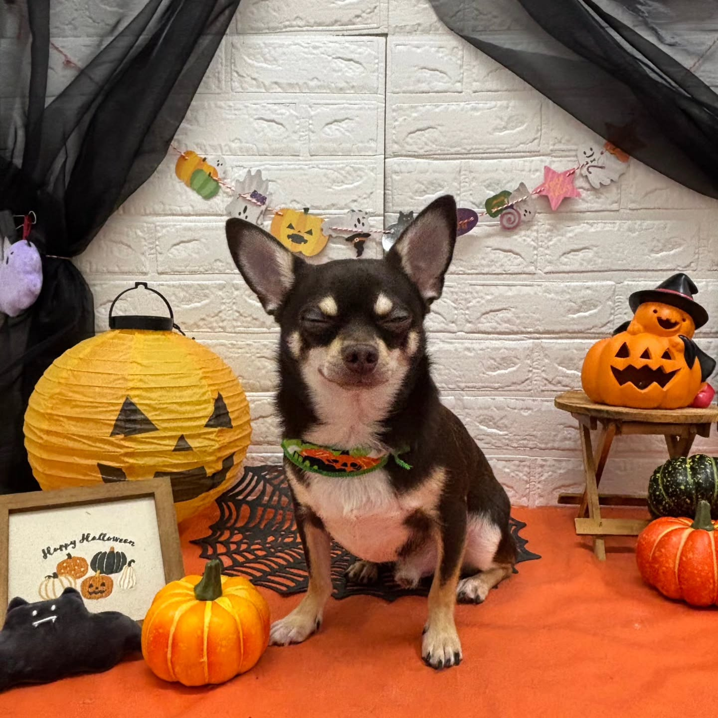 ๐๐ฆ๐ธ๐๐ฆ๐ธ๐๐ฆ๐ธ