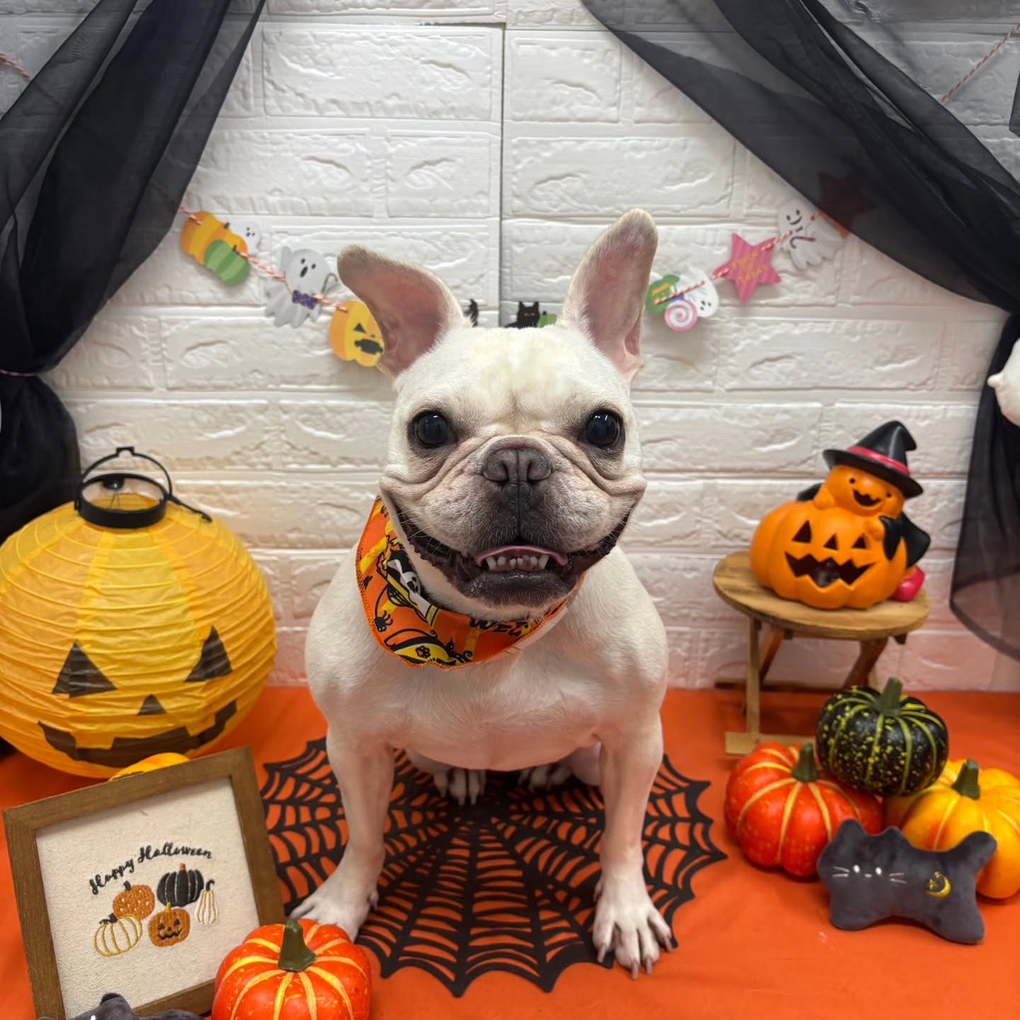 ๐๐ฆ๐ธ๐๐ฆ๐ธ๐๐ฆ๐ธ