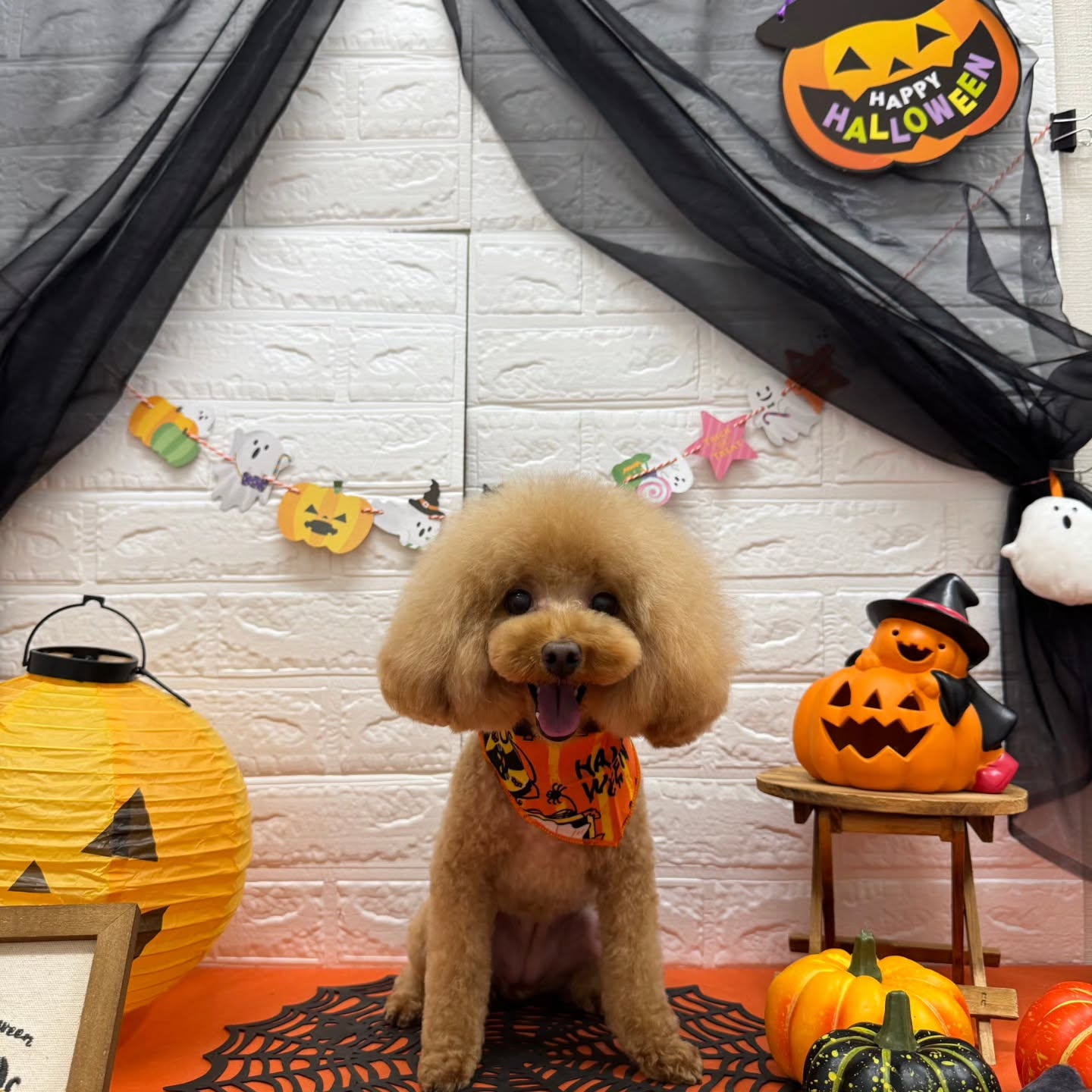 ๐๐ฆ๐ธ๐๐ฆ๐ธ๐๐ฆ๐ธ