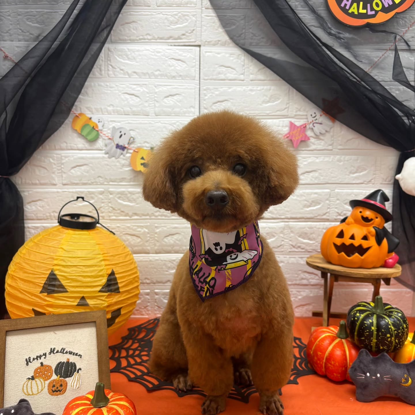 ๐๐ฆ๐ธ๐๐ฆ๐ธ๐๐ฆ๐ธ