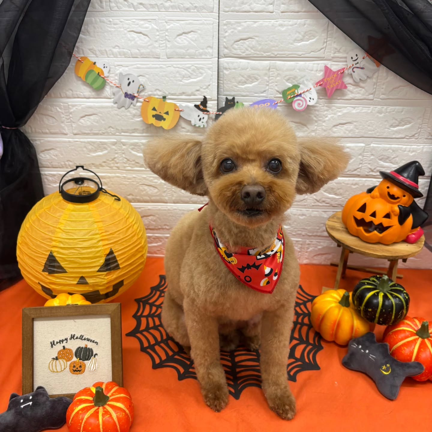 ๐๐ฆ๐ธ๐๐ฆ๐ธ๐๐ฆ๐ธ