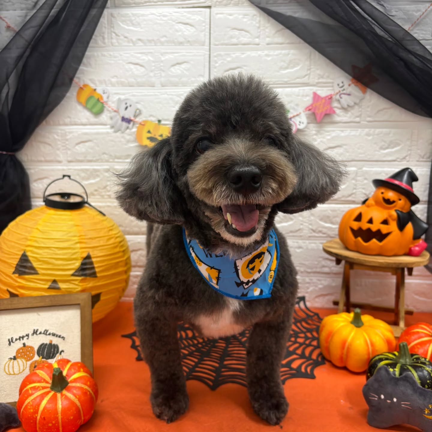 ๐๐ฆ๐ธ๐๐ฆ๐ธ๐๐ฆ๐ธ