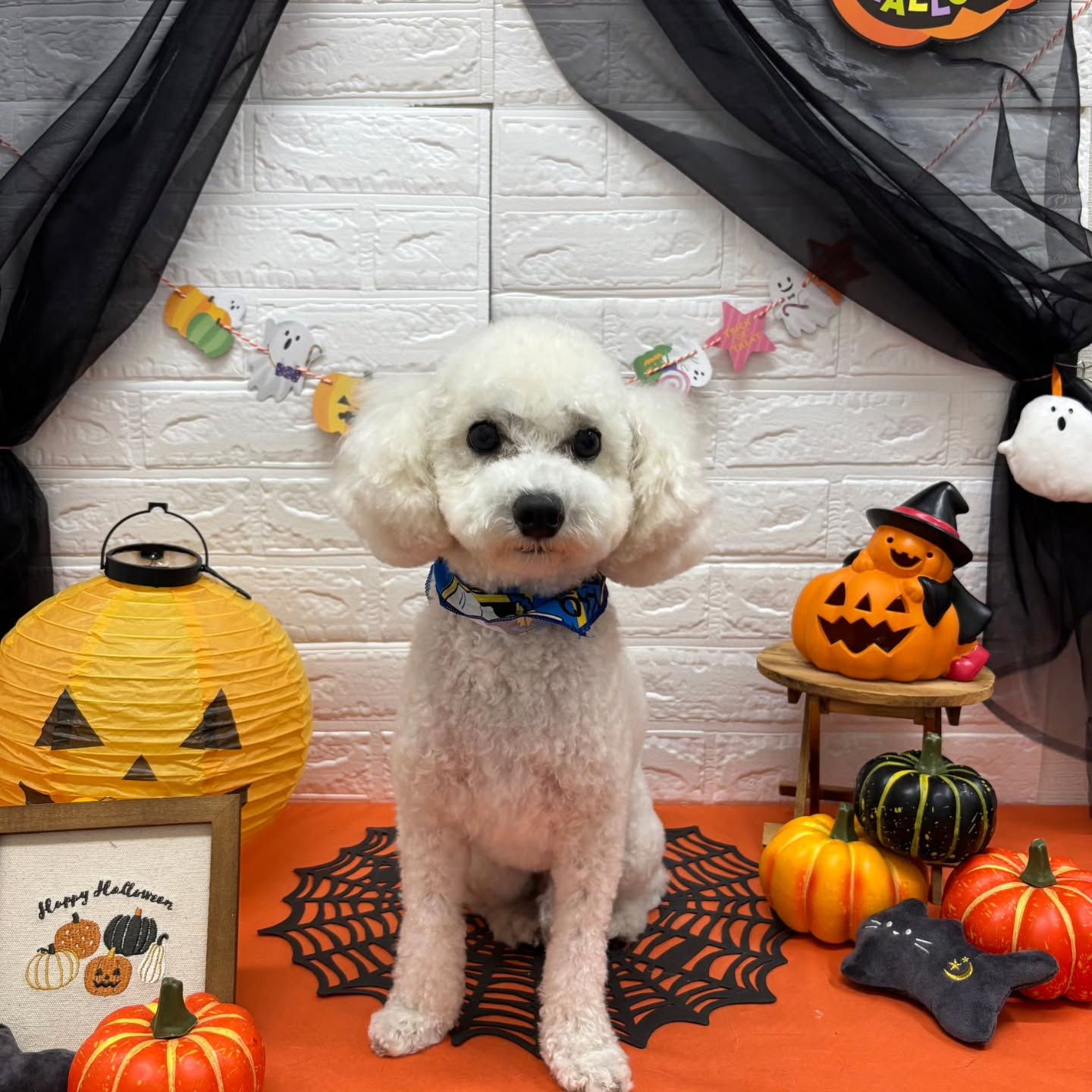 ๐๐ฆ๐ธ๐๐ฆ๐ธ๐๐ฆ๐ธ