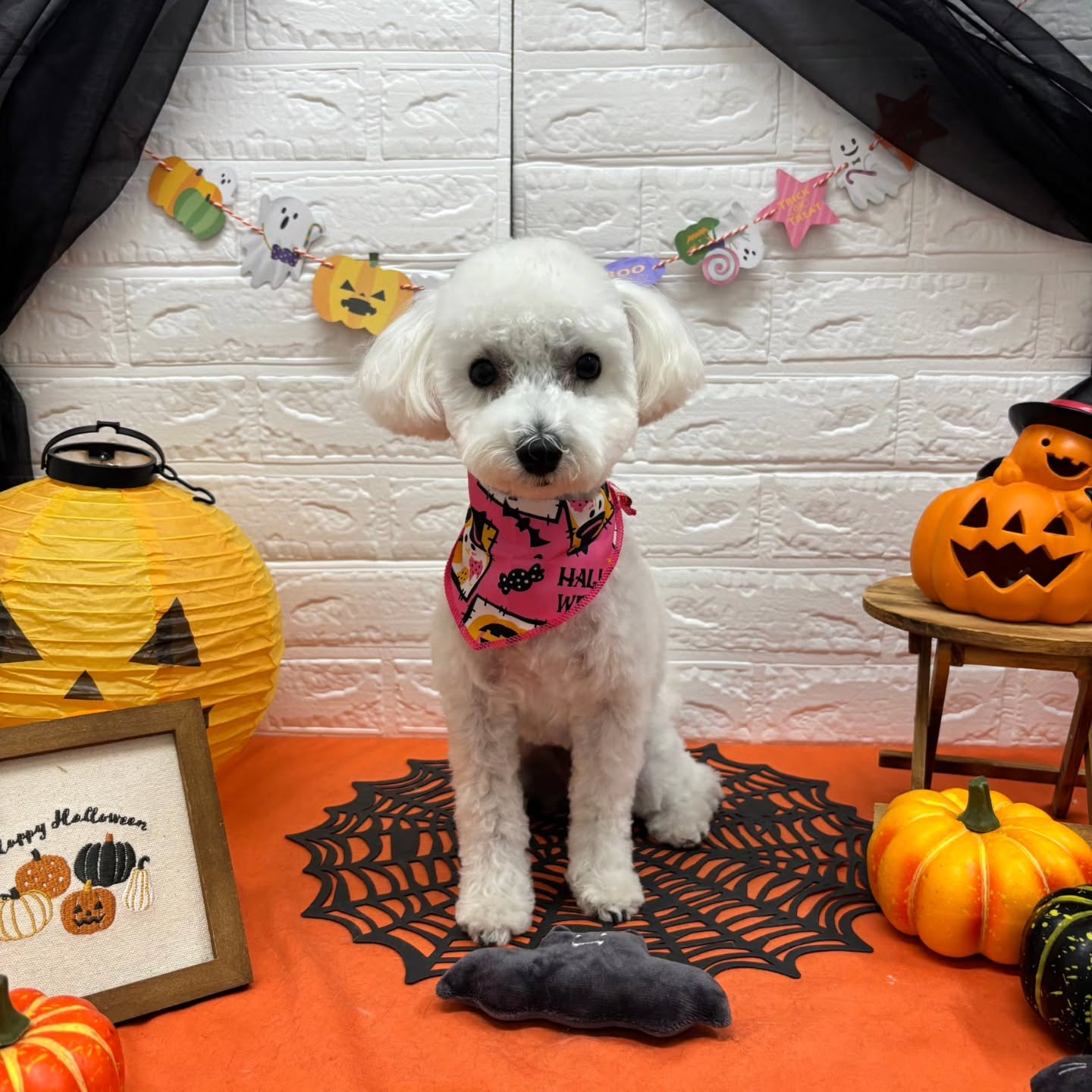 🎃🦇🕸🎃🦇🕸🎃🦇🕸