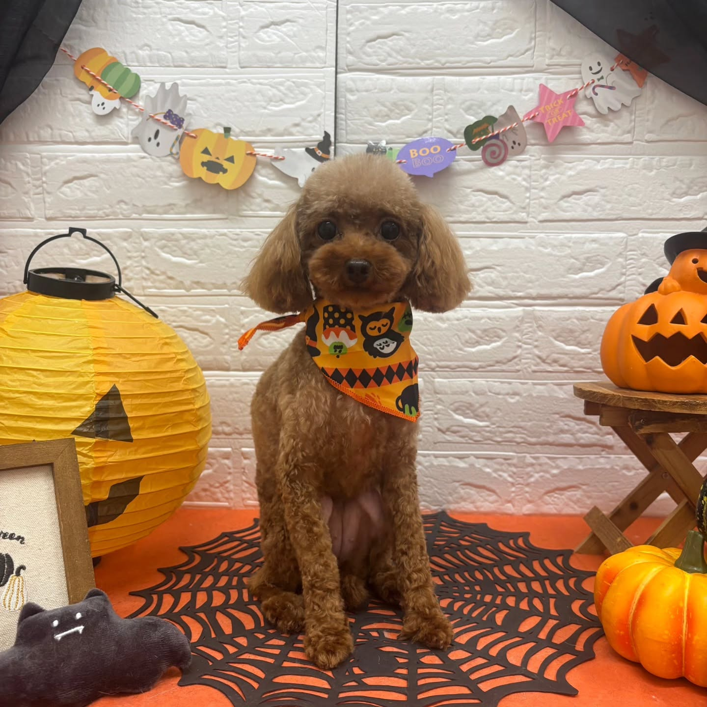 ๐๐ฆ๐ธ๐๐ฆ๐ธ๐๐ฆ๐ธ