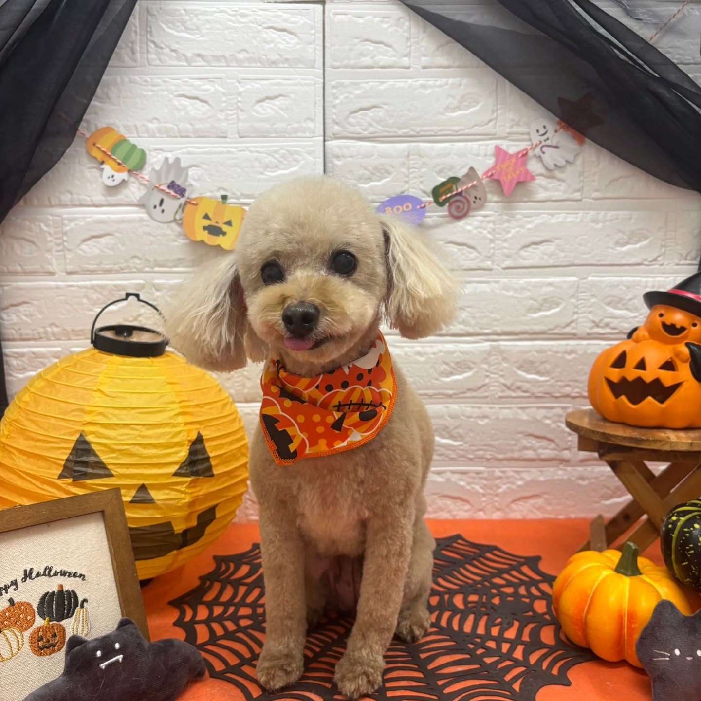 ๐๐ฆ๐ธ๐๐ฆ๐ธ๐๐ฆ๐ธ