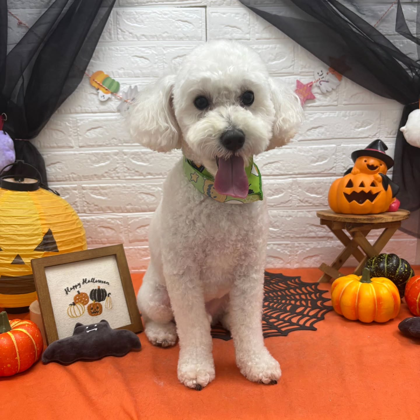 ๐๐ฆ๐ธ๐๐ฆ๐ธ๐๐ฆ๐ธ