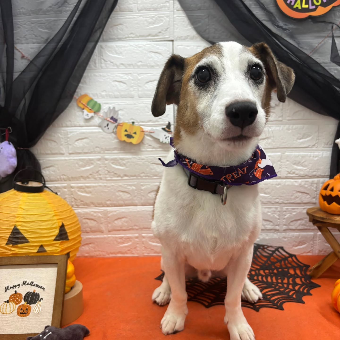 ๐๐ฆ๐ธ๐๐ฆ๐ธ๐๐ฆ๐ธ