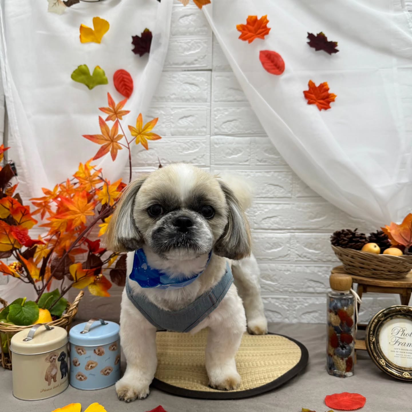 🍠🍠🍠🍠🍠🍠🍠🍠🍠🍠🍠🍠