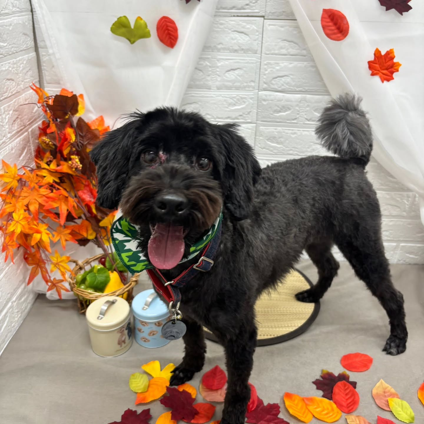 🍠🍠🍠🍠🍠🍠🍠🍠🍠🍠🍠🍠