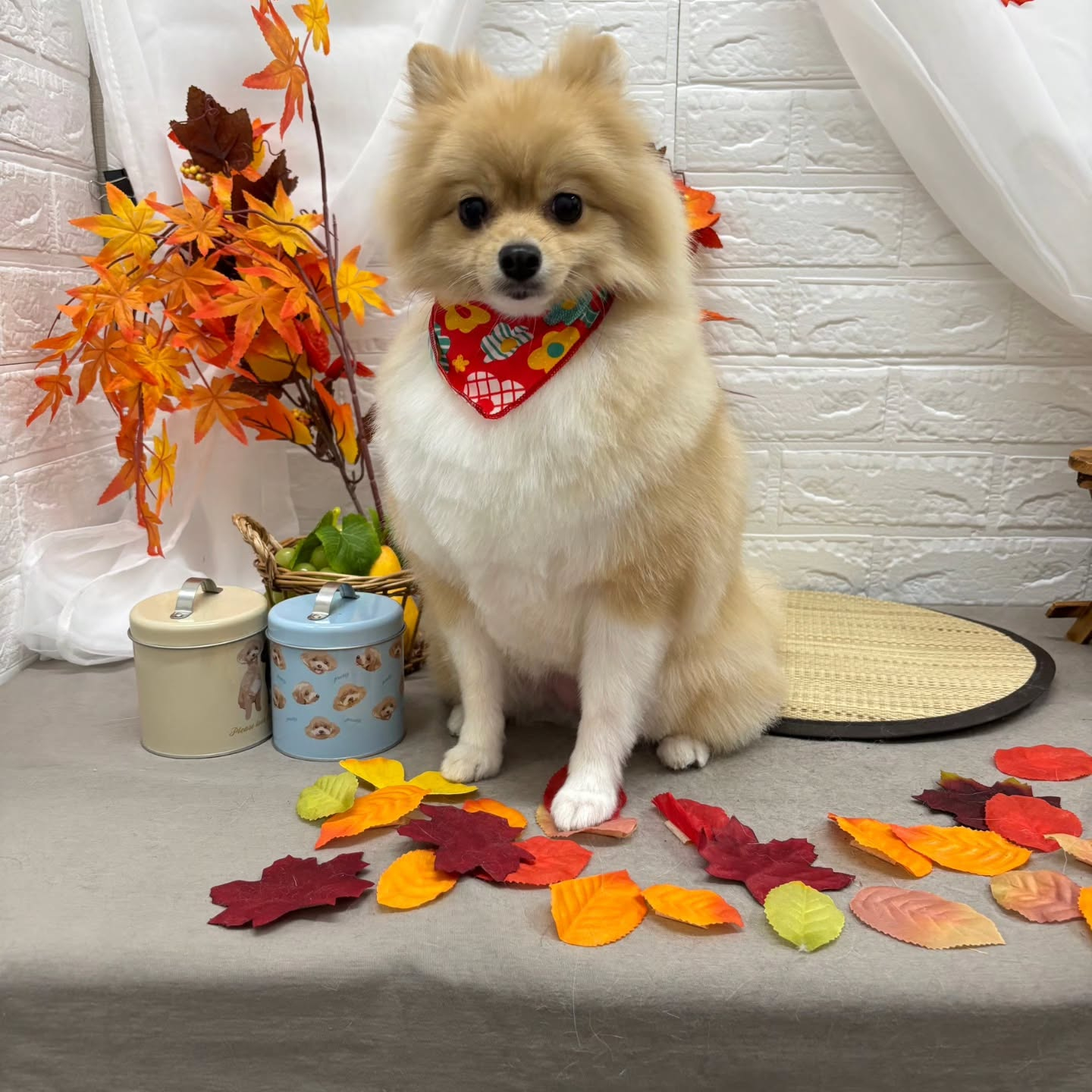 🍠🍠🍠🍠🍠🍠🍠🍠🍠🍠🍠