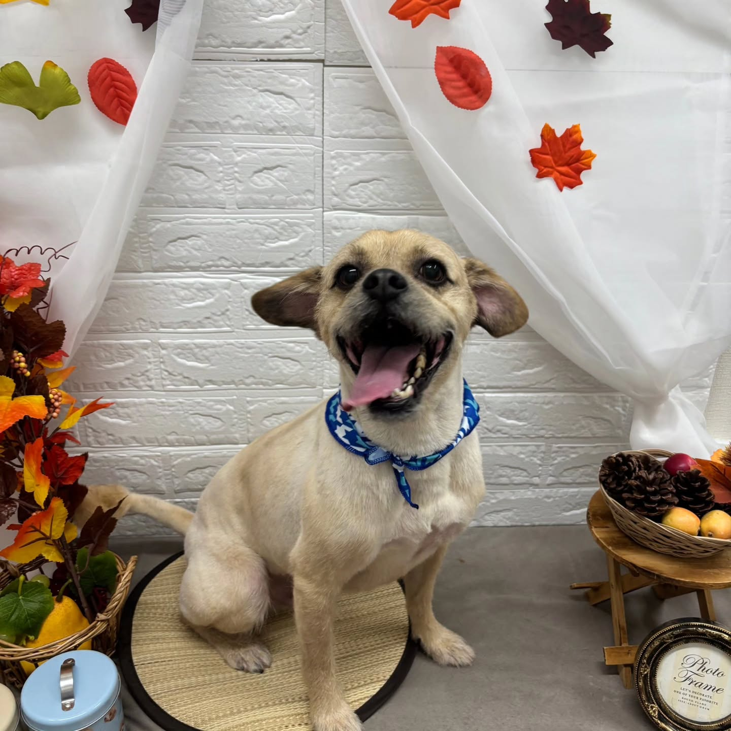 🍠🍠🍠🍠🍠🍠🍠🍠🍠🍠🍠