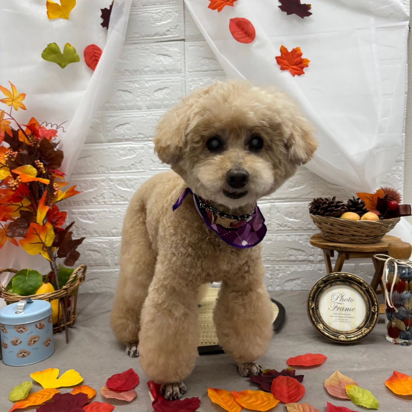 🍠🍠🍠🍠🍠🍠🍠🍠🍠🍠🍠