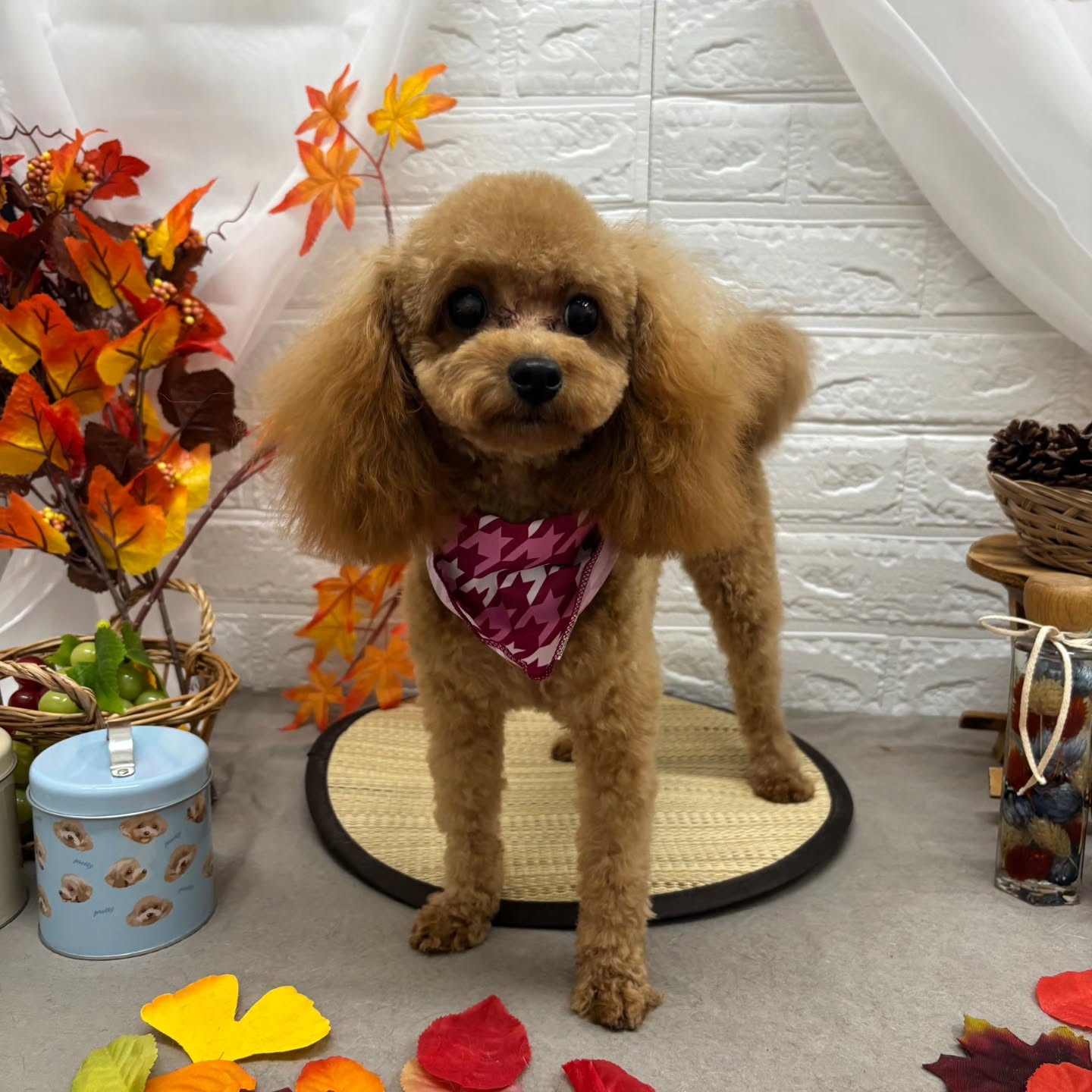 ๐๐๐๐๐๐๐๐๐๐