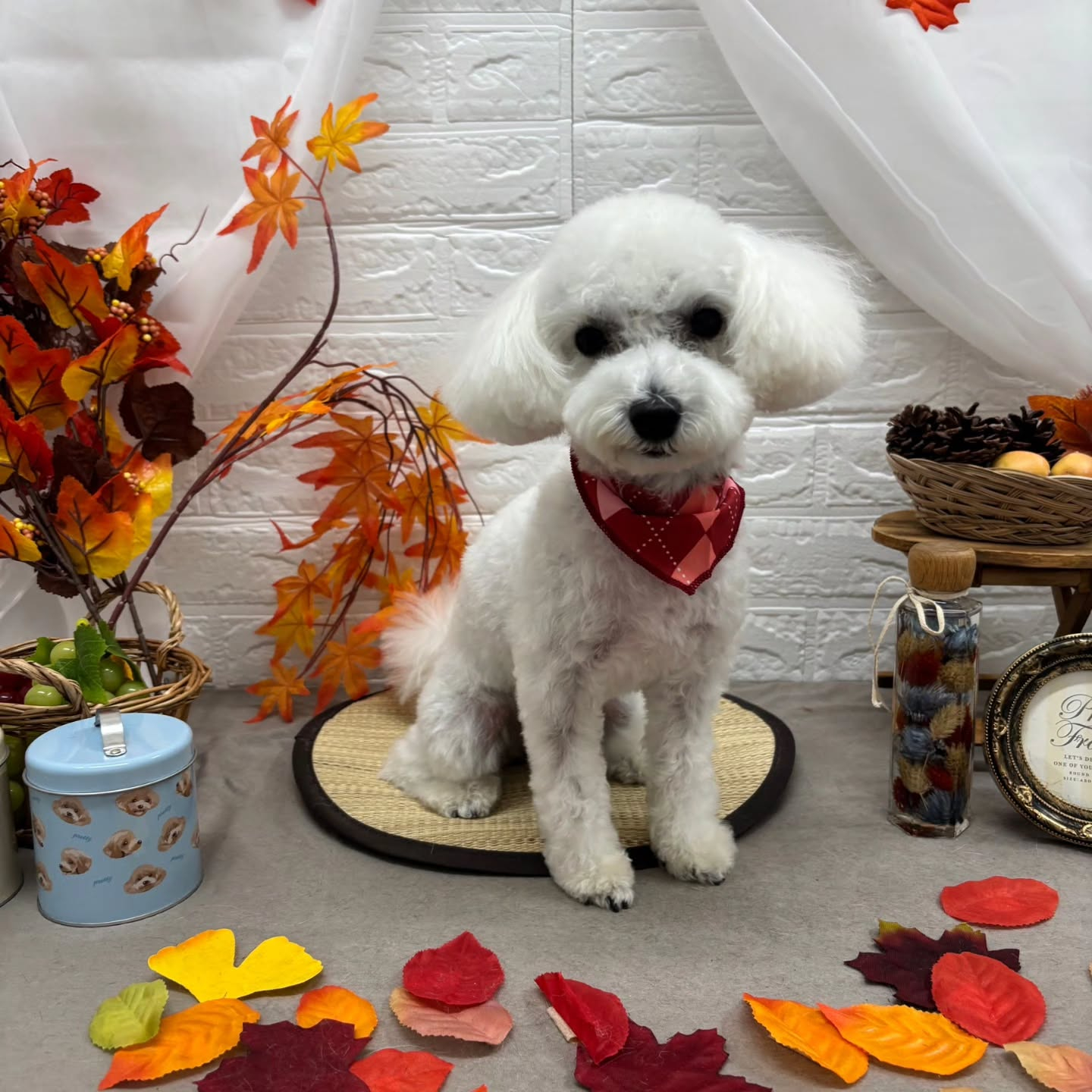 ๐๐๐๐๐๐๐๐๐๐