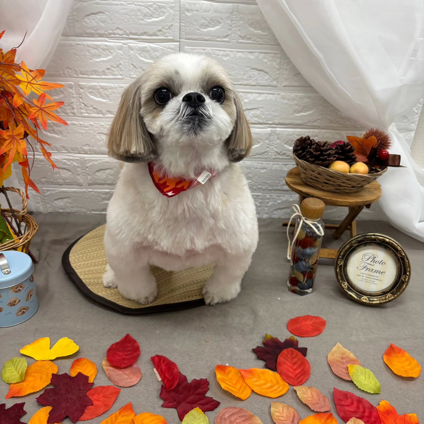 ๐๐๐๐๐๐๐๐๐๐