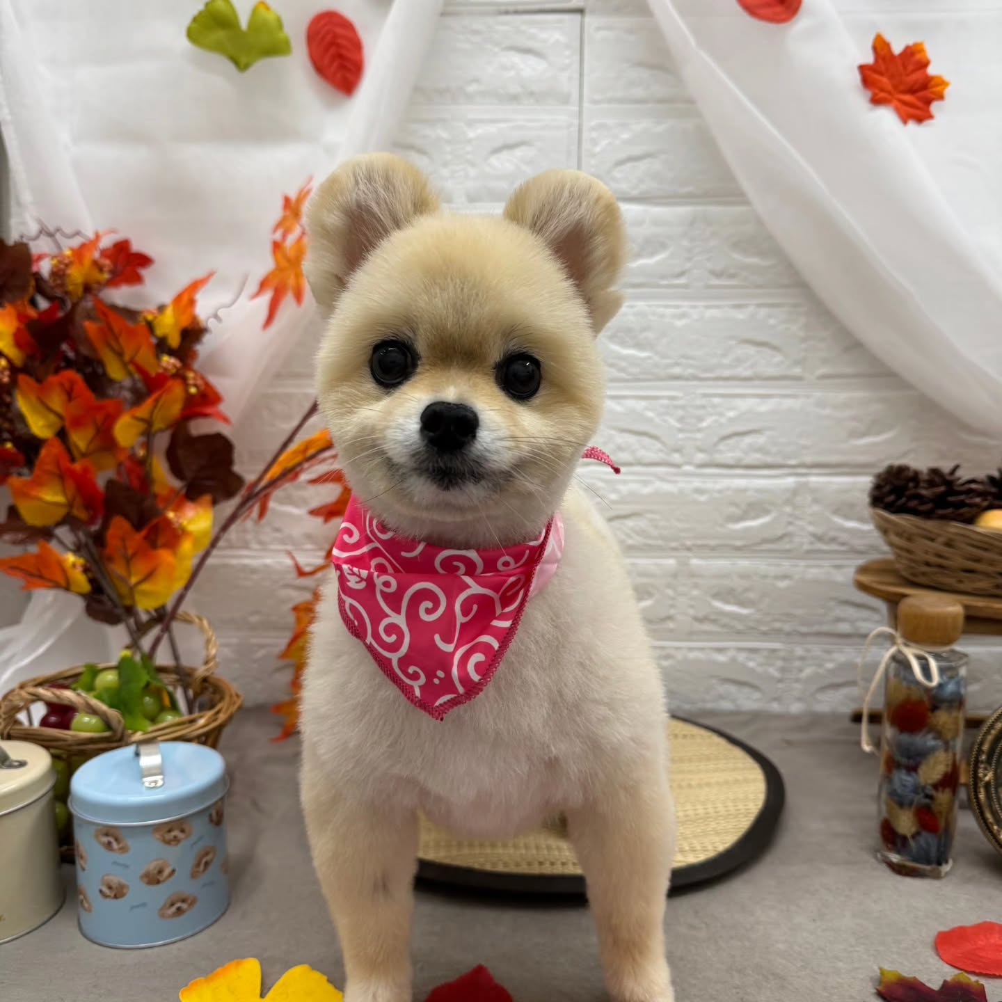 ๐๐๐๐๐๐๐๐๐๐