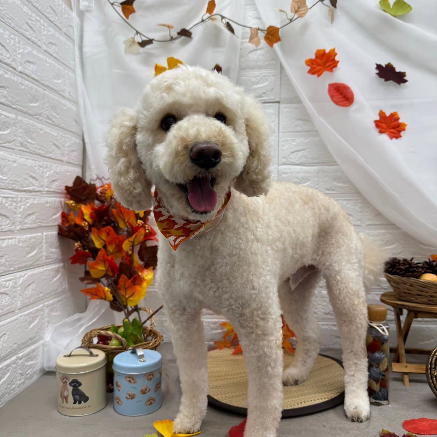 ๐๐๐๐๐๐๐๐๐๐