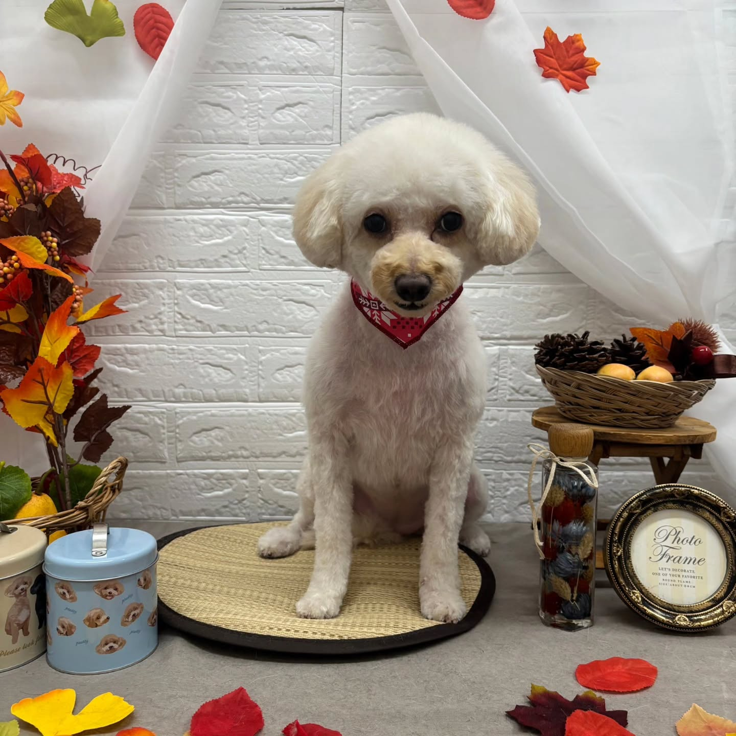 ๐๐๐๐๐๐๐๐๐๐